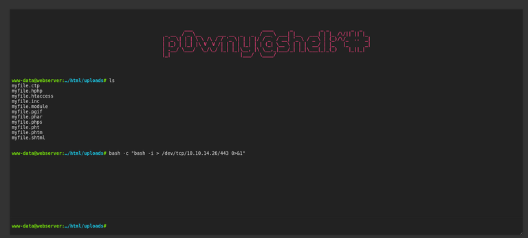 p0wny shell on linux server